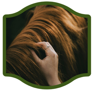 Kopie von www Werbung(1)